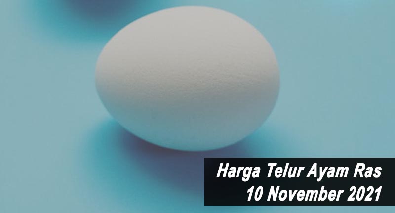 Harga Telur Ayam Ras 10 November 2021