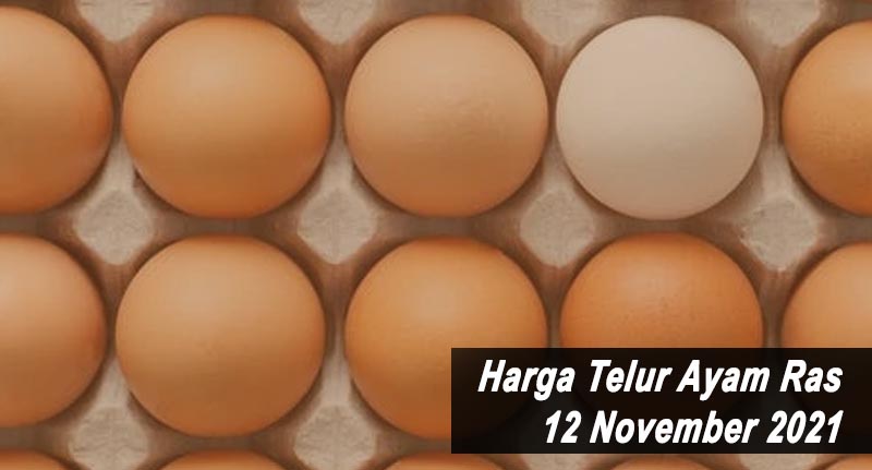 Harga Telur Ayam Ras 12 November 2021