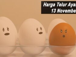 Harga Telur Ayam Ras Hari Ini Sabtu 13 November 2021: Harga Mulai Turun Hingga Rp 2.000 per Kilogram