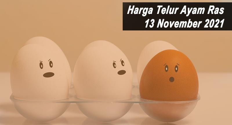 Harga Telur Ayam Ras 13 November 2021