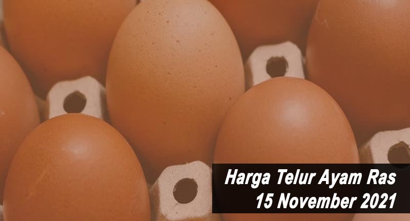 Harga Telur Ayam Ras 15 November 2021