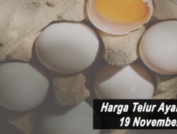 Harga Telur Ayam Ras Hari Ini Jumat 19 November 2021: Harga di Jember Turun Rp 200 per Kilogram