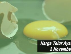 Harga Telur Ayam Ras Hari Ini Selasa 2 November 2021: Harga di Sukabumi Turun Rp 200 per Kilogram