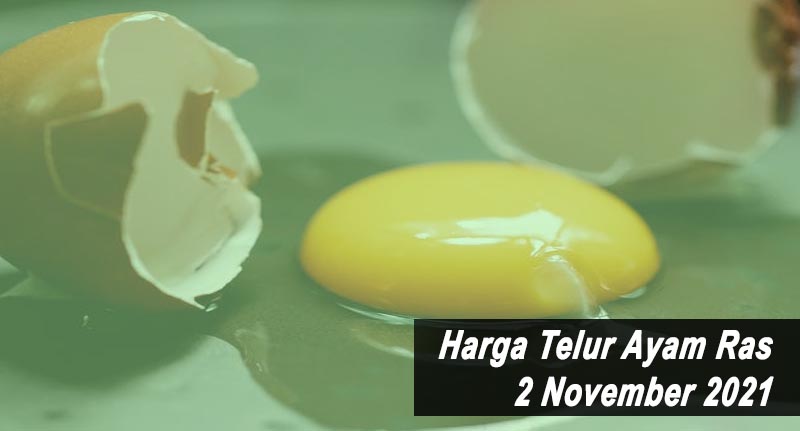Harga Telur Ayam Ras 2 November 2021