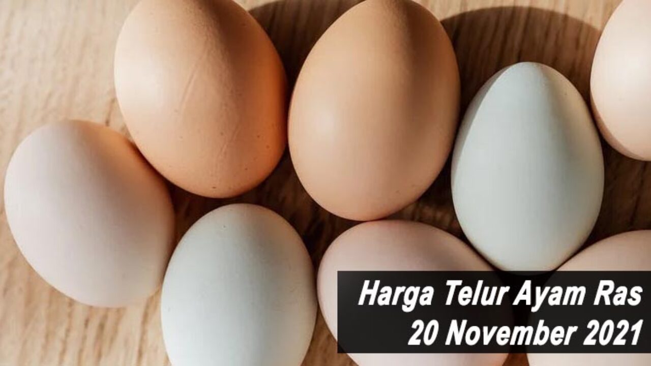Ayam harga 2021 telur Harga Telur