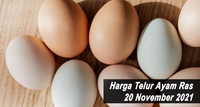 Harga Telur Ayam Ras 20 November 2021