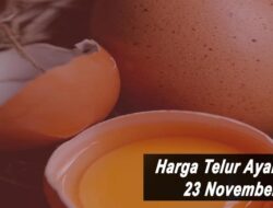 Harga Telur Ayam Ras Hari Ini Selasa 23 November 2021: Harga di Blitar Masih Stabil di Rp 19.000 per Kilogram