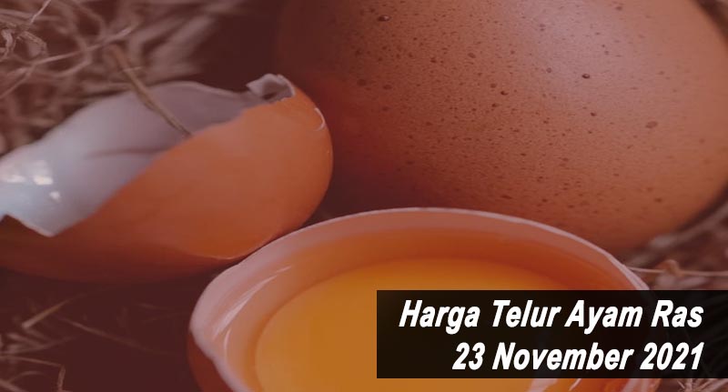 Harga Telur Ayam Ras 23 November 2021