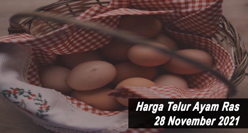 Harga Telur Ayam Ras 28 November 2021