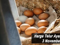 Harga Telur Ayam Ras Hari Ini Rabu 3 November 2021: Harga di Solo Naik Rp 200 per Kilogram