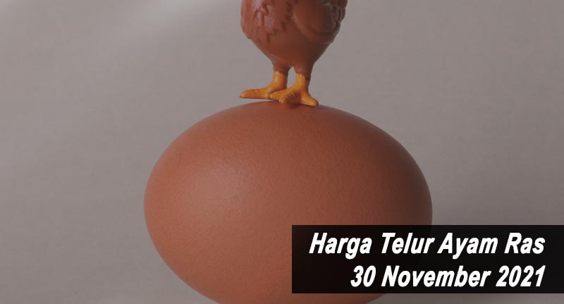 Harga Telur Ayam Ras 30 November 2021