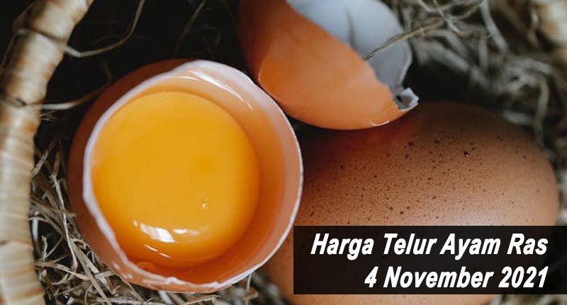 Harga Telur Ayam Ras 4 November 2021