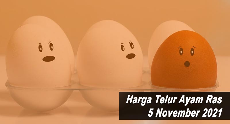 Harga Telur Ayam Ras 5 November 2021