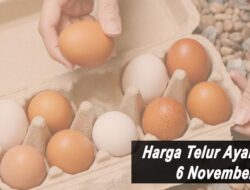 Harga Telur Ayam Ras Hari Ini Sabtu 6 November 2021: Harga Terus Meroket Naik