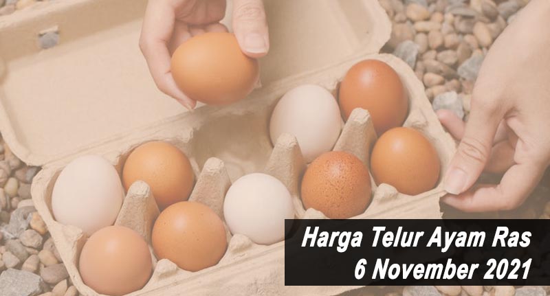 Harga Telur Ayam Ras 6 November 2021