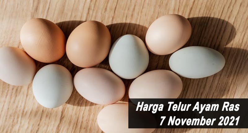 Harga Telur Ayam Ras 7 November 2021