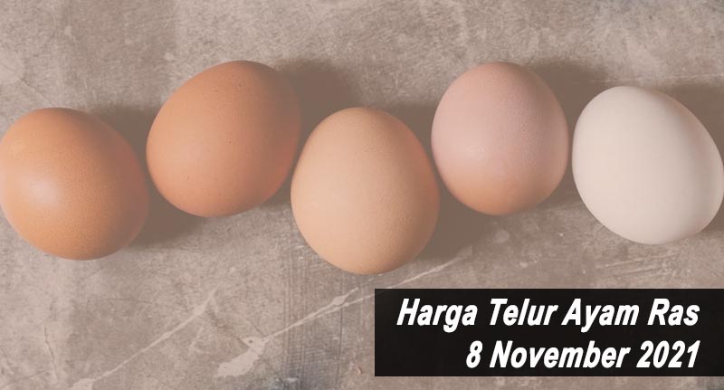 Harga Telur Ayam Ras 8 November 2021