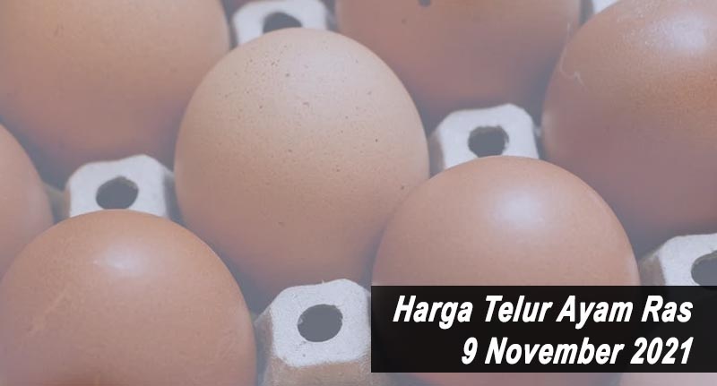 Harga Telur Ayam Ras 9 November 2021