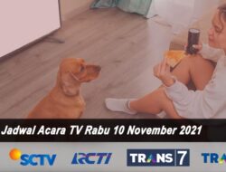 Jadwal TV Hari Ini Rabu 10 November 2021: Saksikan Trans 7, SCTV, RCTI, Indosiar dan Trans TV