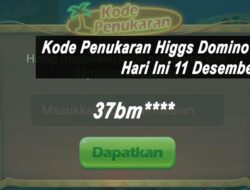 Update! Kode Penukaran Higgs Domino Island 750M Hari Ini Sabtu 11 Desember 2021: Klaim 27623454