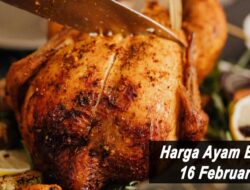 Harga Ayam Broiler Hari Ini Rabu 16 Februari 2022: Harga di JaTeng Stabil di Kisaran Rp 17.500