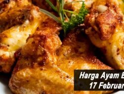 Harga Ayam Broiler Hari Ini Kamis 17 Februari 2022: Harga di KalSel Masih Stabil di Kisaran Rp 25.500