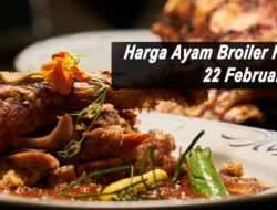 Harga Ayam Broiler Hari Ini Selasa 22 Februari 2022: Harga di Yogyakarta Naik Rp 500