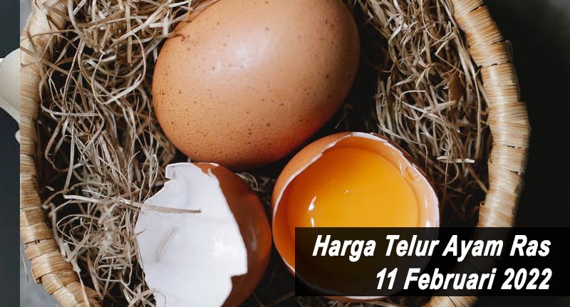 Harga Telur Ayam Ras 11 Februari 2022