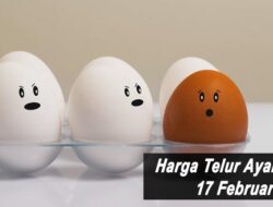 Harga Telur Ayam Ras Hari Ini Kamis 17 Februari 2022: Harga di KalSel Stabil di Rp 20.000