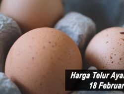 Harga Telur Ayam Ras Hari Ini Jumat 18 Februari 2022: Harga di Blitar Naik Rp 600