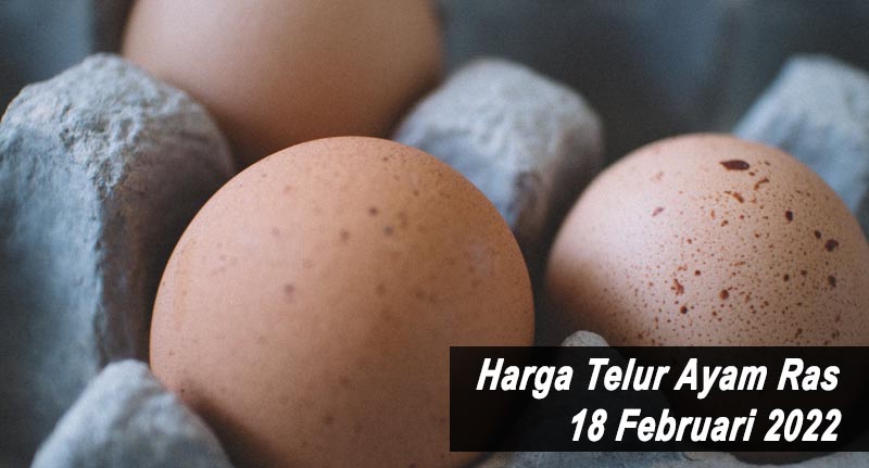 Harga Telur Ayam Ras 18 Februari 2022