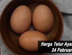 Harga Telur Ayam Ras Hari Ini Kamis 24 Februari 2022: Harga di Jambi Masih Stabil di Rp 18.600