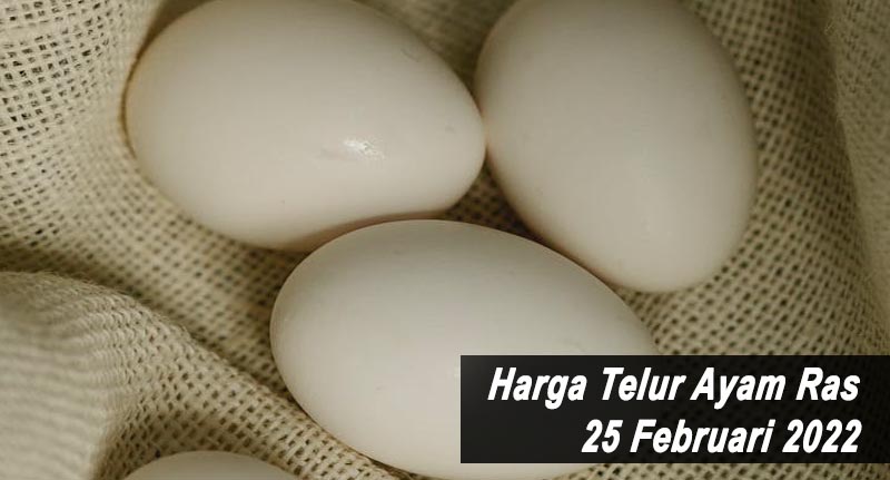 Harga Telur Ayam Ras 25 Februari 2022