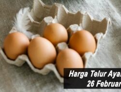 Harga Telur Ayam Ras Hari Ini Sabtu 26 Februari 2022: Harga di Blitar Kembali Naik Sekitar Rp 600