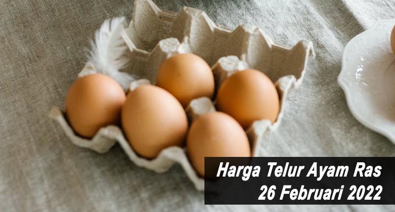 Harga Telur Ayam Ras 26 Februari 2022