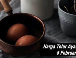 Harga Telur Ayam Ras Hari Ini Sabtu 5 Februari 2022: Harga di Blitar Rp 16.600 per Kilogram