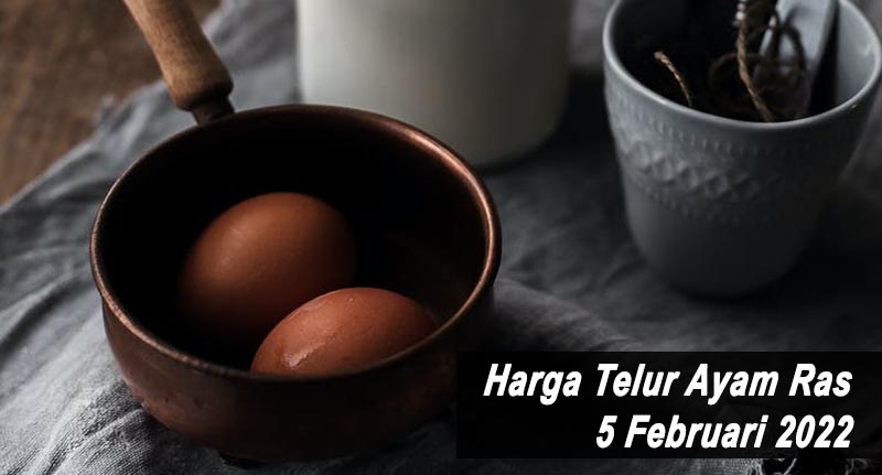 Harga Telur Ayam Ras 5 Februari 2022