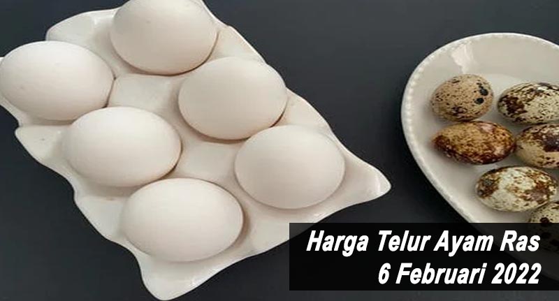 Harga Telur Ayam Ras 6 Februari 2022