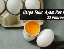 Harga Telur Ayam Ras Hari Ini Selasa 22 Februari 2022: Harga di Palangkaraya Stabil di Rp 20.500