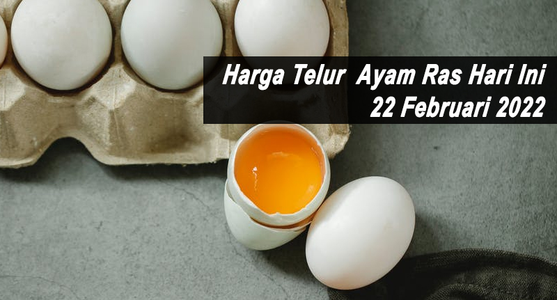 Harga Telur Ayam Ras Hari Ini 22 Februari 2022