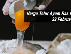 Harga Telur Ayam Ras Hari Ini Rabu 23 Februari 2022: Harga di Surabaya Kisaran Rp 18.600