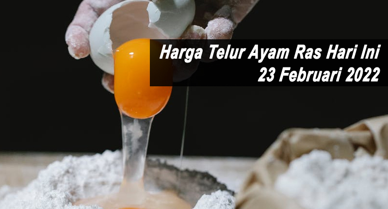 Harga Telur Ayam Ras Hari Ini 23 Februari 2022