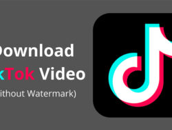 SSSTiktok Snaptik Versi Terbaru, Download Video Dari TikTok Tanpa Watermark Dengan Kualitas HD