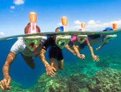 Daftar Tempat Wisata Snorkeling di Jawa Timur, Nikmati Keindahan Alam Bawah Laut