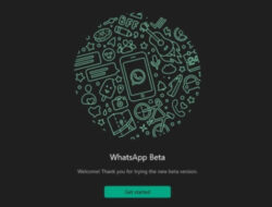 Fitur Dark Mode WhatsApp WindowsDesktop, Berikut cara Mengaktifkan