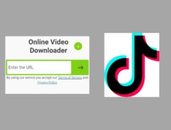 SSSTikTok, Unduh Video TikTok Tanpa Watermark dan Bisa Dalam Format MP3