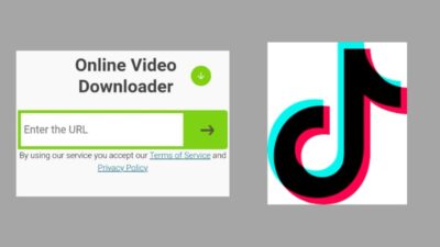 SSSTikTok, Unduh Video TikTok Tanpa Watermark dan Bisa Dalam Format MP3