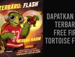Tortoise Flash, Pet META Terbaru di Free Fire, Berikut Skill yang Dimilikinya