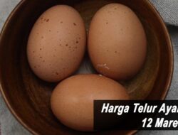 Harga Telur Ayam Ras Hari Ini Sabtu 12 Maret 2022: Harga di Blitar Stabil di Rp 20.500