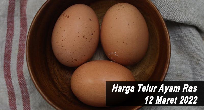 Harga Telur Ayam Ras 12 Maret 2022